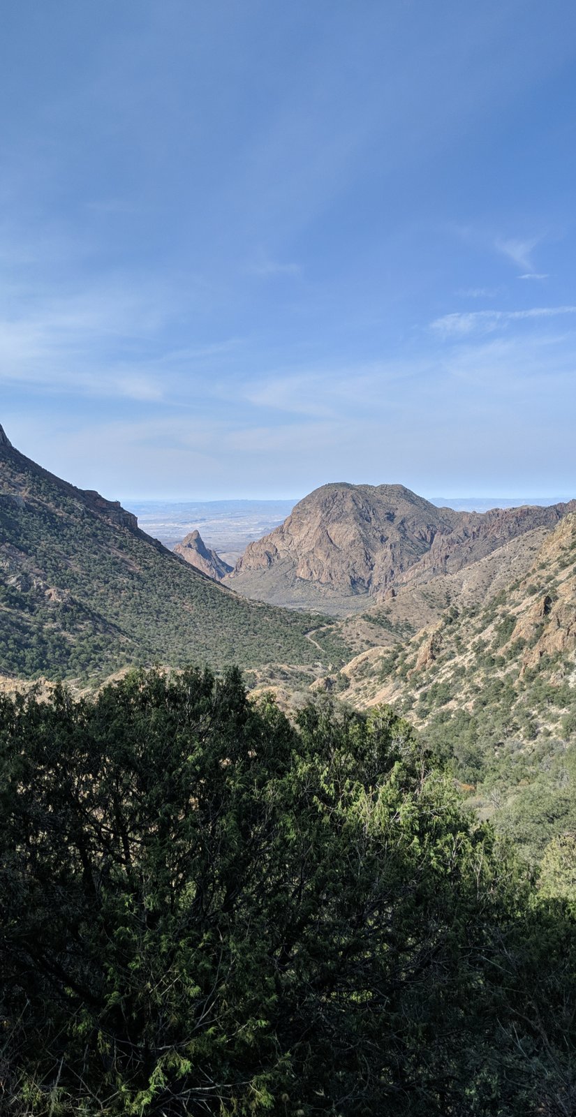 Chisos mountains under a wide sky.
