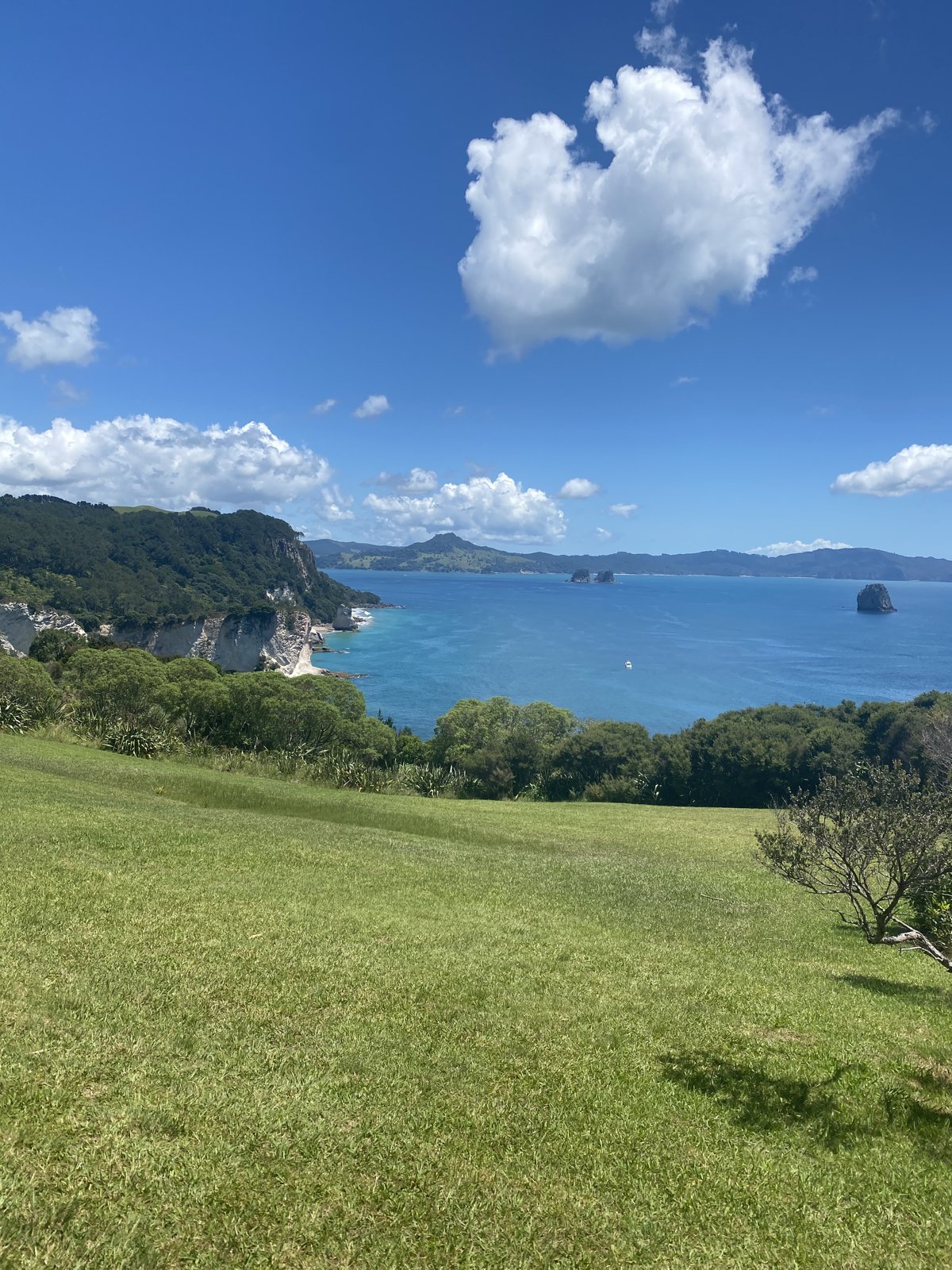Green coastal hills above the sea.