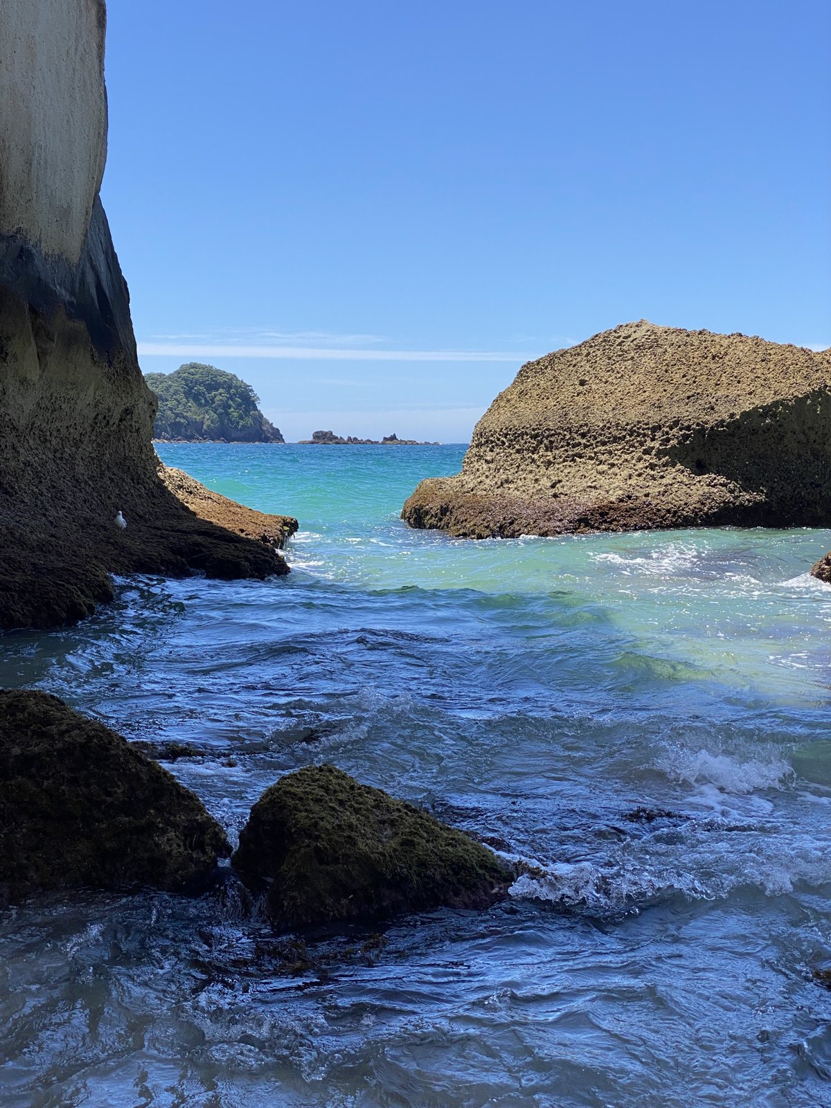 A rocky turquoise cove on the Coromandel coast.