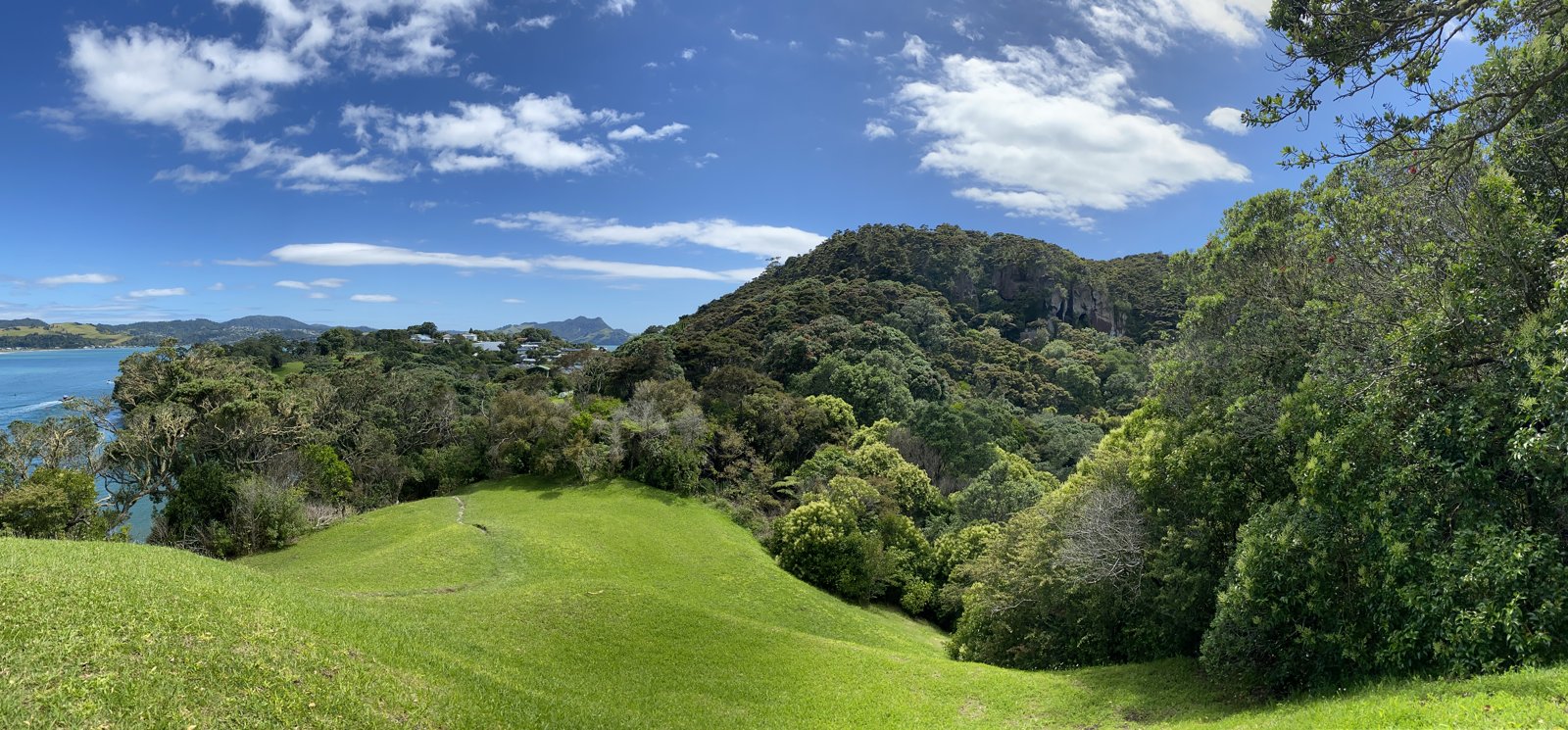 Green New Zealand hills falling to a turquoise coast.